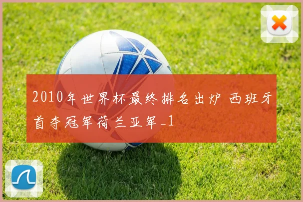 2010年世界杯最终排名出炉 西班牙首夺冠军荷兰亚军_1