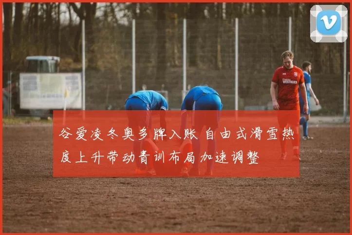 谷爱凌冬奥多牌入账 自由式滑雪热度上升带动青训布局加速调整