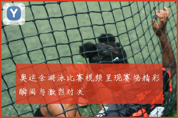 奥运会游泳比赛视频呈现赛场精彩瞬间与激烈对决