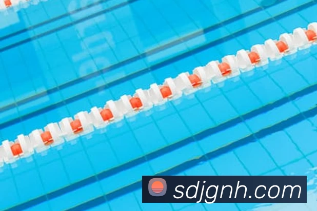 2021世界杯官网发展历程